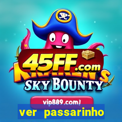 ver passarinho morto significado
